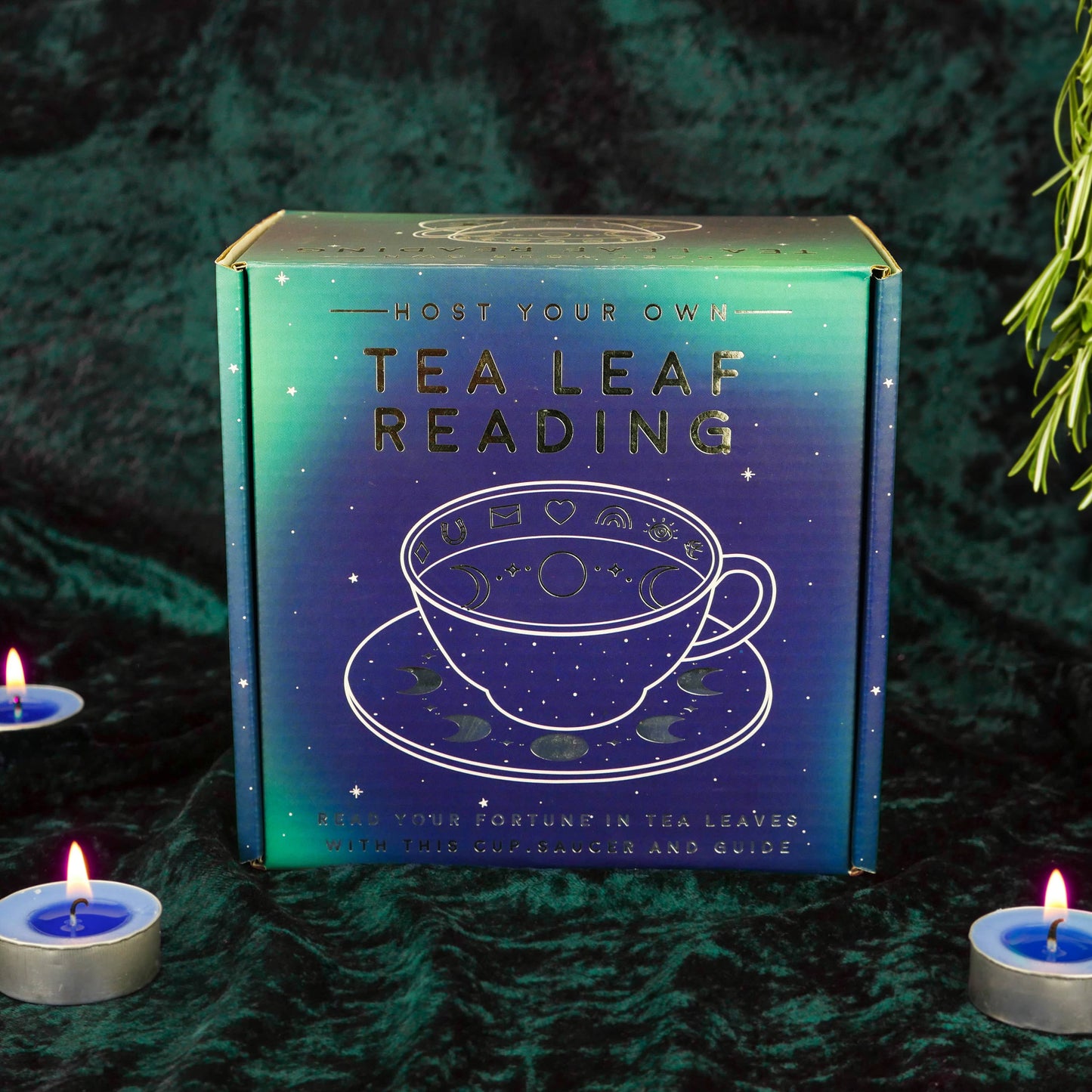 Gift Republic - Tea Leaf Reading Cup and Saucer