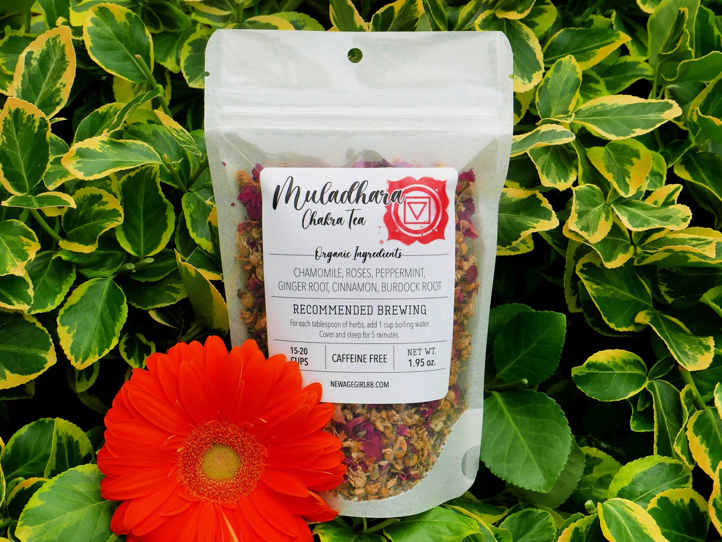 Muladhara Chakra Organic Loose Tea