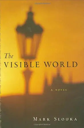The Visible World cover image