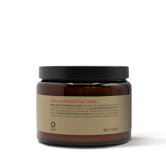 ColorUp Color Protection Hair Mask - 150 ml